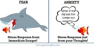 Fear Versus Stress Explained