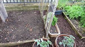 Do zucchini plants need to climb. Trellising Options For Cucumbers Beans Zucchini Squash Melons Grow Vertically Save Space Youtube