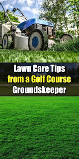 Pin On Lawn Food