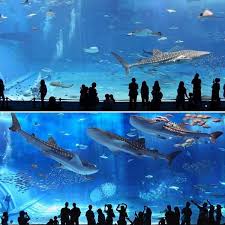 The 2nd Largest Aquarium In The World Okinawa Churaumi Aquarium Japan Fish Tank Dream Vacations Cool Photos