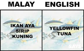Kari ikan jenahak bahan bahan: What S Ikan Patin In English Here Are 17 Translations Of Fish Malaysians Love