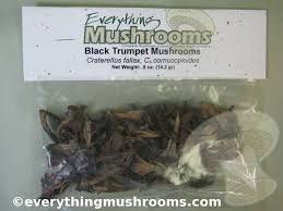 Image result for Craterellus fallax