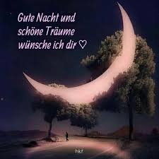 Pin Von Evelyn Hartmann Auf Gute Nacht Spruche Gute Nacht Nacht Gute Nacht Wunsche