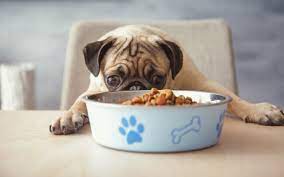 Nothing bought in a pet shop. How To Calculate Pet Food Dry Matter Basis With Calculator Pet Keen
