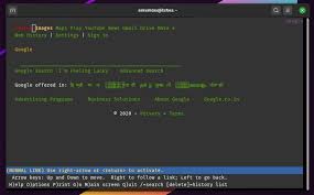 I browse the net with lynx to save on data transfer bills, i find it hard to read some pages due to the colours and the black background. 4 Best Terminal Browsers For Linux Command Line