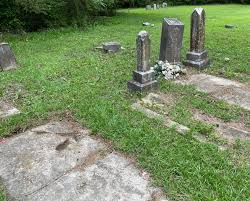 Mary Ann Lewis Bullock Pullen (1877-1953)