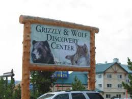 Follow all posted instructions while visiting the grizzly & wolf discovery center. Grizzly Wolf Discovery Center Tierpark In West Yellowstone