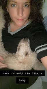 Its a hard life for a pomeranian...