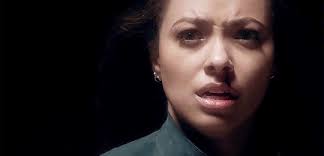 The Bloodline [Roman Godfrey x Reader]