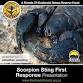 Essential Scorpion Sting First Response Presentation event image