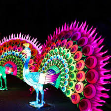 Le festival des lanternes fééries de chine, présenté à gaillac (tarn) pour la 1ère fois en europe, a remporté un vif succès populaire avec 180.000 billets vendus depuis le 1er décembre et sera reconduit l'année prochaine, a indiqué le maire de gaillac. Celebration Du Nouvel An Chinois Au Festival Des Lanternes De Gaillac Musee Georges Labit