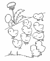 1038 coloring pages on 35 page (s) 1. Chicks Coloring Pages Young Kids Love To Draw Animals And Birds So Let Your Child Try Farm Animal Coloring Pages Farm Coloring Pages Chicken Coloring Pages