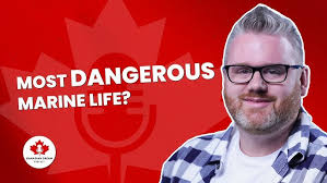 CANADIAN WILDLIFE: What aquatic wildlife should you watch out for?