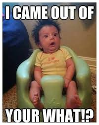 20 Funny Baby Meme Images Photos Picss Mine