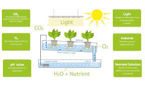 Mixing hydroponic nutrients can be a breeze! Hydroponic Hydroponics Optimal Growing Conditions