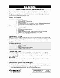 Volunteering Resume Sample Unique Example Academic Resume Examples ...