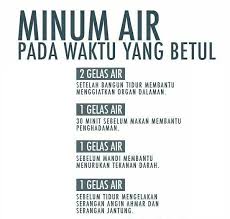 Dapat jaga buah pinggang seisi keluarga. Faedah Minum Air Mineral Cuckoo Penapis Air Cuckoo