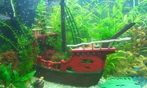 Large pirate ship shipwreck aquarium ornament fish tank theme decor. Best Sunken Ship Aquarium Decorations Shipwreck Theme