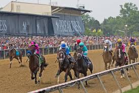 Handle On 2019 Preakness Card Sets New Record