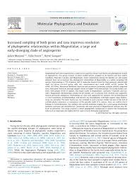 Image result for Dielsiothamnus divaricatus