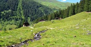 At uors, it branches off to the south from the lumnezia. Bergfex Sehenswurdigkeiten Almleben Im Valsertal St Jodok Am Brenner Schmirn Vals Ausflugsziel Sightseeing