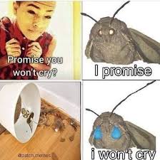 Sad Boy Hours Who Up Memes