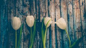 Waking, and possibly that will shift even earlier as the months go by and his overnight sleep needs drop even more. Daylight Savings Time Seattle Sleep Trainer