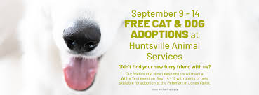 Looking for recommendations on where to eat? Fee Waived Pet Adoptions At Huntsville Animal Services City Of Huntsville