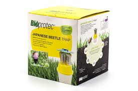 How to use a japanese beetle trap. Bioprotec Trap Japanese Beetle Derco Horticulture