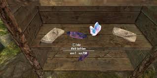 A Choice Has To Be Made – Postcards From Skyrim
