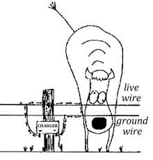 By understanding your fencing requirements, you will be able to more effectively choose the kind of wire that works most effectively for you and your animals. Electric Fence Design Cooperative Extension Livestock University Of Maine Cooperative Extension