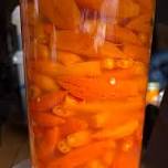 TCS: Fantastic Fermentation!