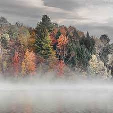 Check spelling or type a new query. Easy Photoshop Color Splash Effect Without Selections