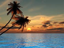 Looking for sunset beach hotel? 66 Sunset Beaches Wallpaper On Wallpapersafari