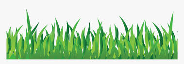 Grab And Download Grass Png Image Without Background Cartoon Grass Transparent Png Kindpng Download all photos and use them even for commercial projects. grab and download grass png image