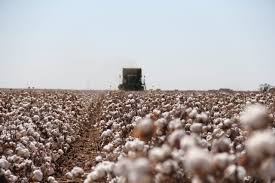 Working Together, Serving Together