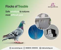 Protect Your Balconies Or Working Areas With Convenient Pigeon Deterrent To Reduce Bird Nuisance Birdcontrol Pigeonmena Bird Control Flocking Working Area