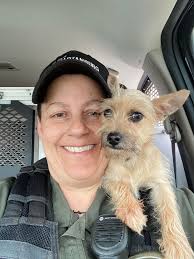 Found dog at freedom drive and Allegheny street in Charlotte