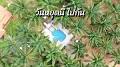 Video for ท่าปอมคลองสองน้ำรีสอร์ท Thapom Resort