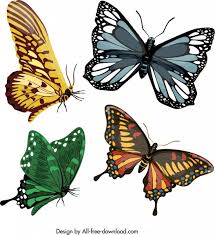Sketsa gambar kolase kupu kupu munculnya eksistensi sketsa gambar kolase kupu kupu di internet nampaknya bukan hal yang buruk, namun kerap foto sketsa tersebut terdapat sindiran untuk peristiwa yang marak berkembang, tetapi nyatanya gambar sketsa itu dapat menghibur masyarakat. 7400 Koleksi Sketsa Gambar Hewan Kupu Kupu Gratis Terbaik Gambar Hewan