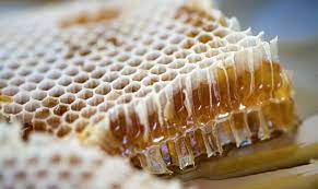 Use History Honey And Honeycomb Healdsburg Shed