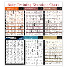 Us 3 88 27 Off Bodybuilding Gym Sport Fitness Dumbbell Poster Kettlebell Workout Exercise Training Chart Art Wall Poster Print Home Decor In