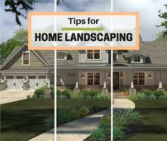 Cut back trees and shrubs. 11 Tips To Make Your Home Landscaping Attractive And Successful