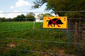 The voltage of the shock may have effects ranging from discomfort to death. Electric Fence 1832491 Wild Und Hund