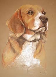 If you missed that article, you may want to click the link and read it before continuing. Color Pencil Drawing Dogs Pencildrawing2019