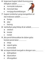 Latihan Soal Ipa Kelas 8 Semester 1 Peranti Guru