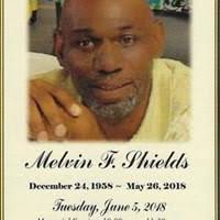 Alvera Stokes's Instagram, Twitter & Facebook