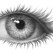Drawspace Com Overview Draw A Realistic Eye Eye Drawing Realistic Eye Realistic Eye Drawing