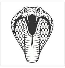 Black And White Diamond Pattern Snake Cobra Head Black And White Vector Image On Vectorstock Snake Tattoo Design Snake Drawing Cobra Tattoo