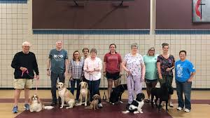 National dog day is celebrated annually on august 26. Bqqtfh5dgcf4mm